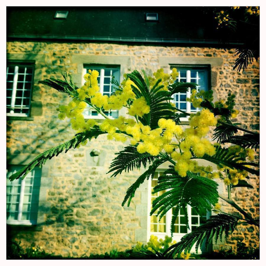 Manoir De La Grand'Cour Acomodação com café da manhã Soulge-sur-Ouette Exterior foto